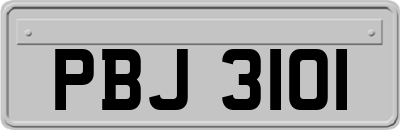 PBJ3101