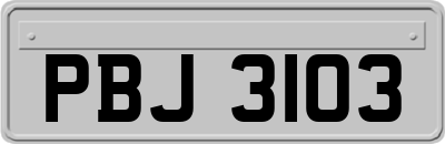 PBJ3103