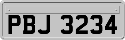 PBJ3234