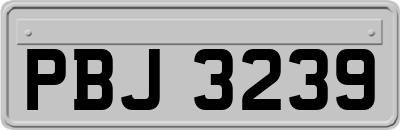 PBJ3239