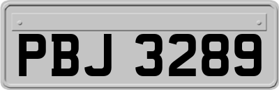 PBJ3289