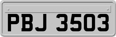 PBJ3503