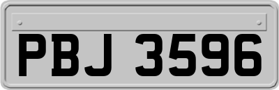 PBJ3596