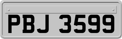 PBJ3599