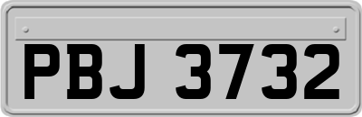 PBJ3732