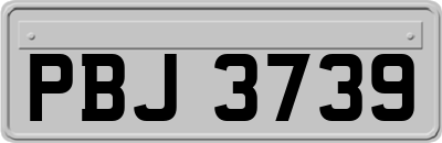 PBJ3739