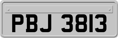 PBJ3813