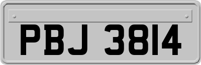 PBJ3814