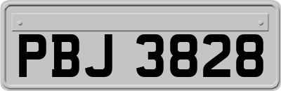 PBJ3828