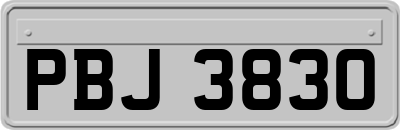 PBJ3830