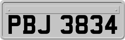 PBJ3834