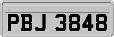 PBJ3848