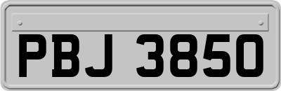 PBJ3850