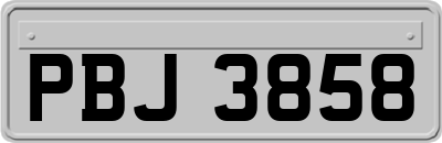 PBJ3858