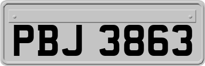 PBJ3863