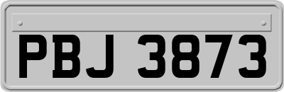 PBJ3873