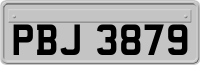 PBJ3879