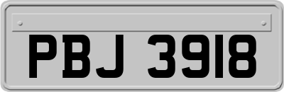 PBJ3918