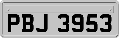 PBJ3953