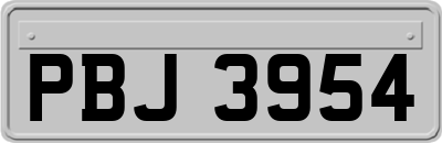 PBJ3954