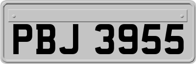 PBJ3955