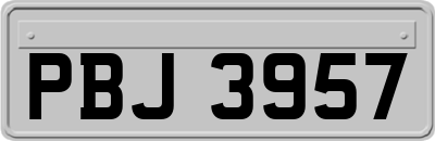 PBJ3957