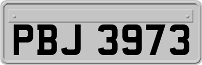 PBJ3973