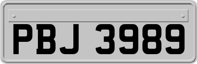 PBJ3989