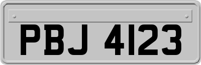 PBJ4123