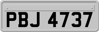 PBJ4737