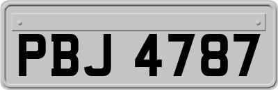 PBJ4787