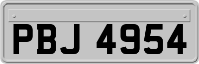 PBJ4954