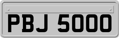 PBJ5000