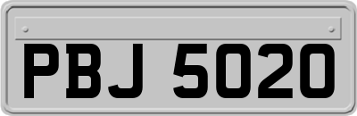 PBJ5020