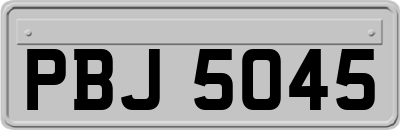 PBJ5045