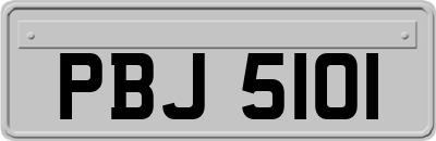 PBJ5101