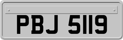 PBJ5119