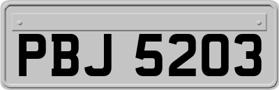 PBJ5203