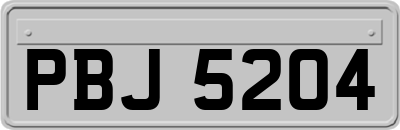 PBJ5204