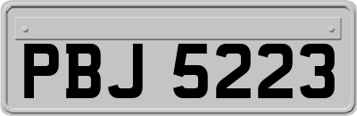 PBJ5223