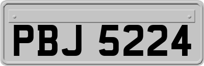 PBJ5224