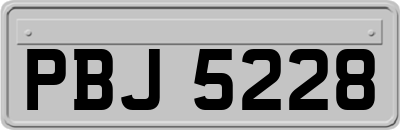 PBJ5228