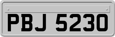 PBJ5230