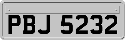 PBJ5232