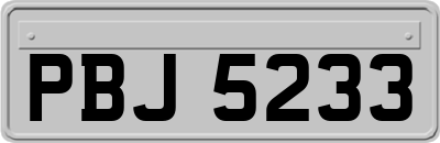 PBJ5233