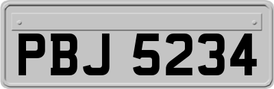 PBJ5234