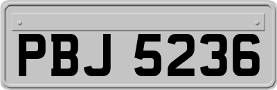 PBJ5236