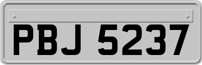 PBJ5237