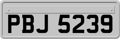 PBJ5239