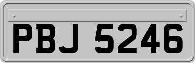 PBJ5246